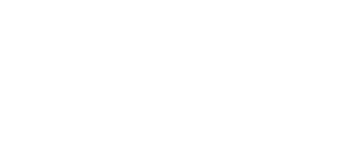 Blundstone Iannone s Footwear Shoe Clinic